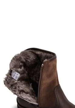 SOFT - Stiefelette - Schoko -Modeschuhe 0bcec55f95614f9295f13a9143f37c2b